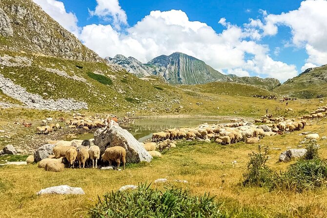 1-Day Montenegro Hiking Tour to Durmitor National Park - Škrčki Pogled, Jablan, and Black Lake views