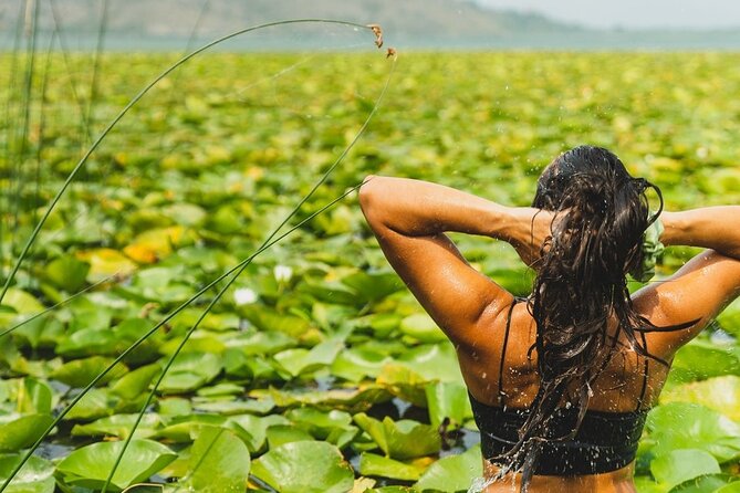 1-hour Kayak Adventure through Skadar Lake from Virpazar - Starting beside Lake Skadar in Virpazar