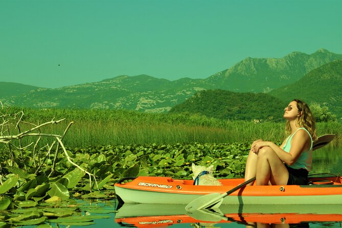1-hour Kayak Adventure through Skadar Lake from Virpazar - What the first minutes on the water feel like
