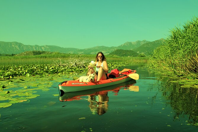 1-hour Kayak Adventure through Skadar Lake from Virpazar - The service at Kingfisher