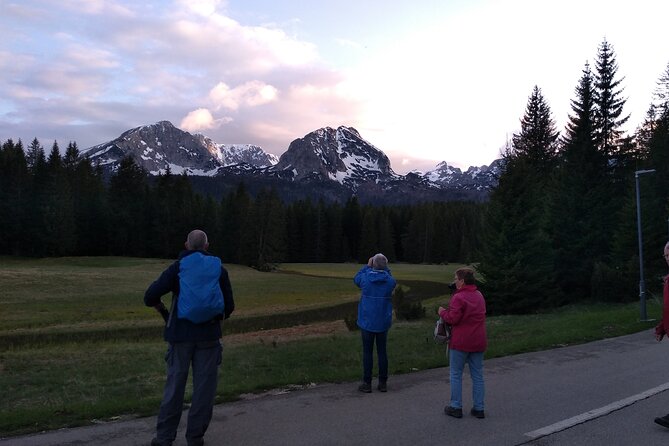 8-Day Tour Montenegro Durmitor Mountain and Adriatic Coast - Day 5: Kotor’s old town and St. Ivan Fortress