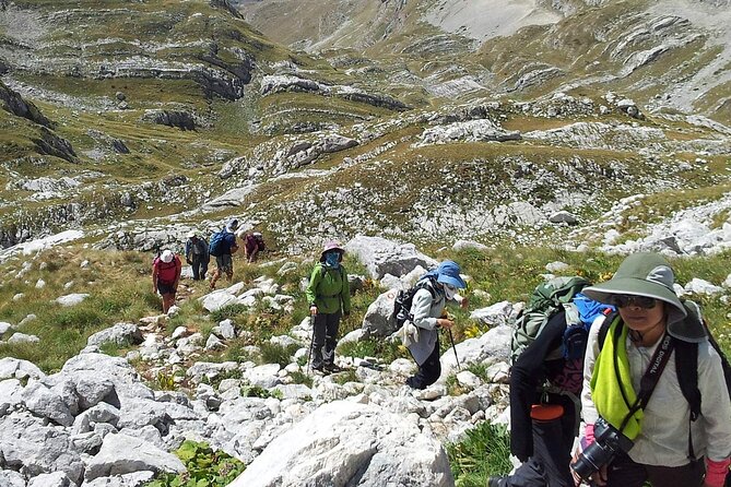8-Day Tour Montenegro Durmitor Mountain and Adriatic Coast - Day 7: Vrmac and a swim at Prčanj