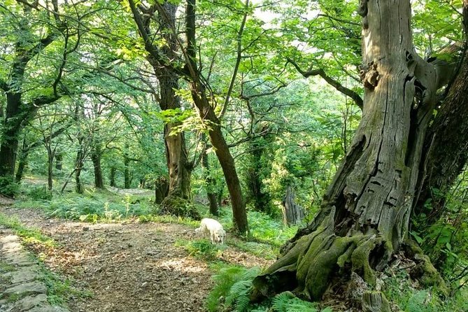 Bike & hike tour - The steep climb above the shore