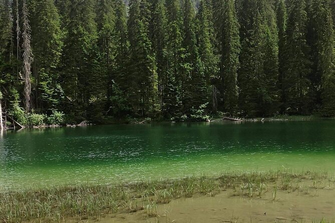Biogradska Gora National Park Tour with Optional Add-Ons - Reaching Biogradska Gora’s old forest