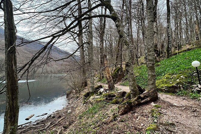 Biogradska Gora National Park Tour with Optional Add-Ons - Adding Skadar Lake and Virpazar