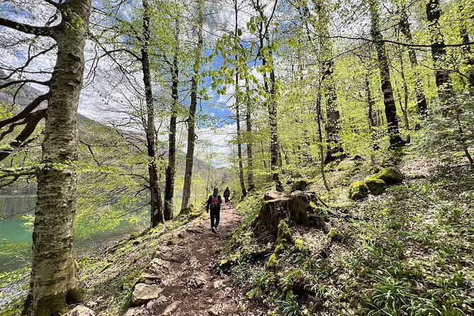 Biogradska Gora National Park Tour with Optional Add-Ons - Weather, timing, and comfort
