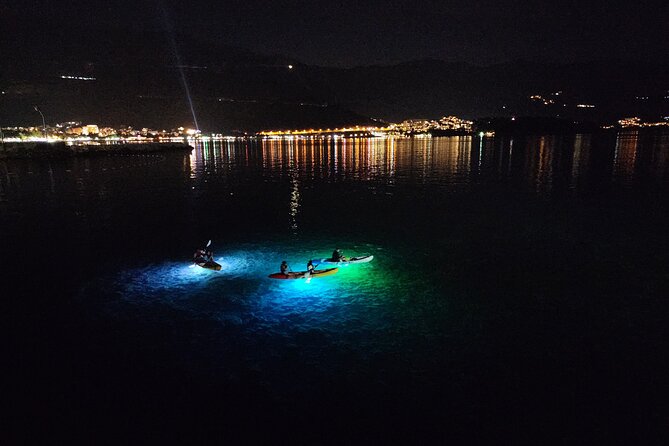 Budva: 2-Hour «Night Lights» Kayak Tour - Guides, group size, and the feel of the outing