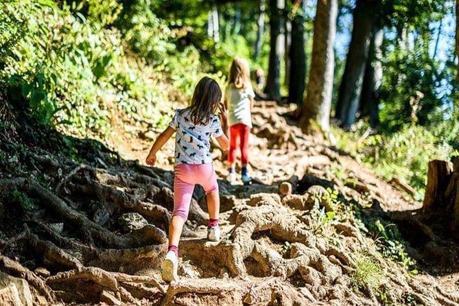Durmitor National Park hiking tour - easy to moderate - Forest paths to Zminje Lake