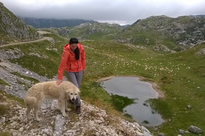 Durmitor NP private tour- Among Katuns, Shepherds and Geological Miracles - Katuns and the summer life of shepherds