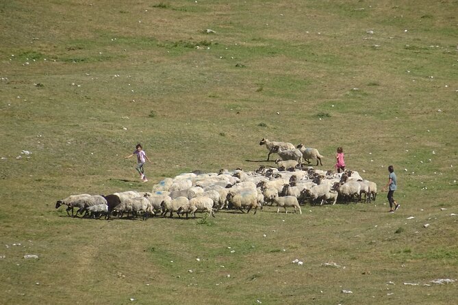 Durmitor NP private tour- Among Katuns, Shepherds and Geological Miracles - What the 11-hour schedule means