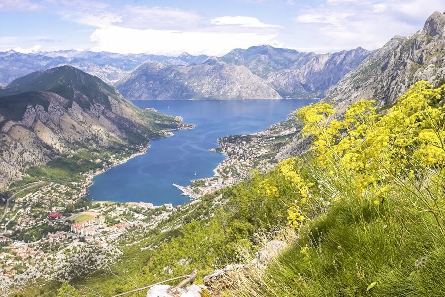 From Dubrovnik: Montenegro Day Trip - Group size, guides, and how the day feels
