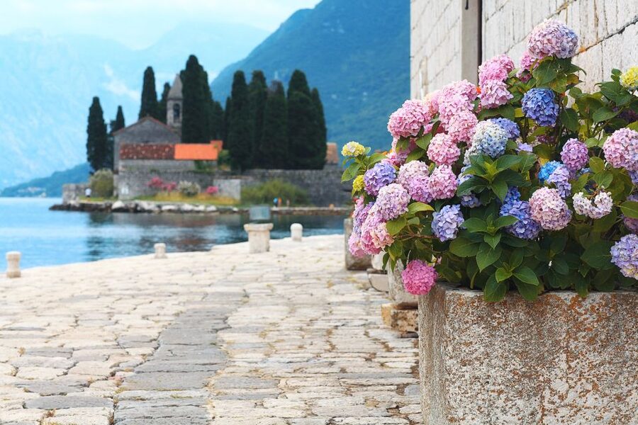 From Dubrovnik: Montenegro Highlights Day Tour - Comfort, mobility, and the pace of the day