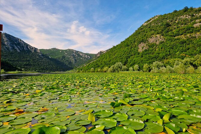 From Virpazar: Visit Karuč, the hidden pearl of Lake Skadar - Starting in Virpazar at 9:00 am