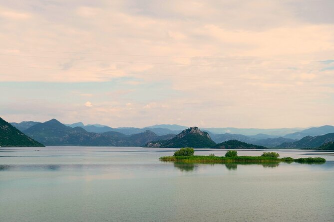 From Virpazar: Visit Karuč, the hidden pearl of Lake Skadar - Birdlife near the Morača River