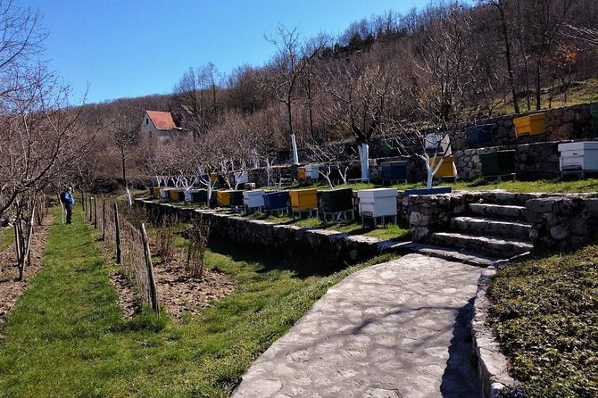 Gastronomy and Sightseeing in Montenegro - Lake Skadar & Cetinje Private Tour - Key reasons to consider this Montenegro day tour