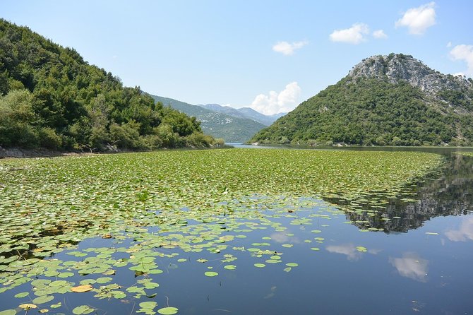 Gastronomy and Sightseeing in Montenegro - Lake Skadar & Cetinje Private Tour - Pavlova Strana viewpoint in only 10 minutes