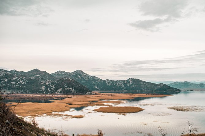 Gastronomy and Sightseeing in Montenegro - Lake Skadar & Cetinje Private Tour - Who will find the $324.06 price worthwhile?