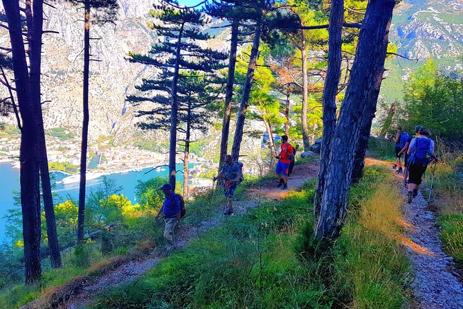 Hiking Vrmac peninsula with panoramic view on Kotor bay - What the private guide adds