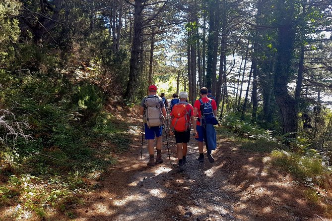 Hiking Vrmac peninsula with panoramic view on Kotor bay - How much value do you get for $114.48?