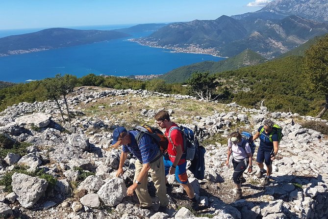 Hiking Vrmac peninsula with panoramic view on Kotor bay - Who should choose this hike?