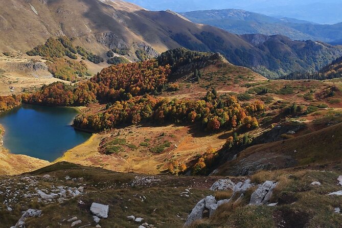 Jeep tour in National park Biogradska gora - Bjelasica’s high peaks from the jeep road