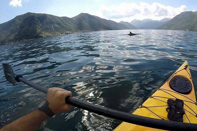 Kayak active tour - Setting out from Kotor’s port at 9 a.m.