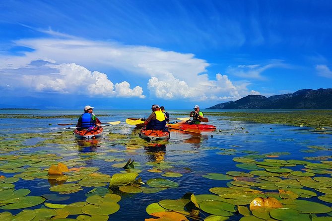 Kayak Guided Tour Skadar lake - Adventure in National park - A short historical pause at Fort Lesendro