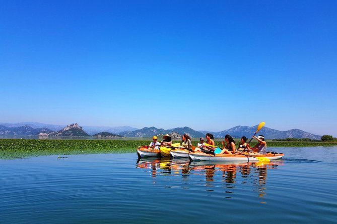 Kayak Guided Tour Skadar lake - Adventure in National park - Paddling toward Grmozhur Fortress