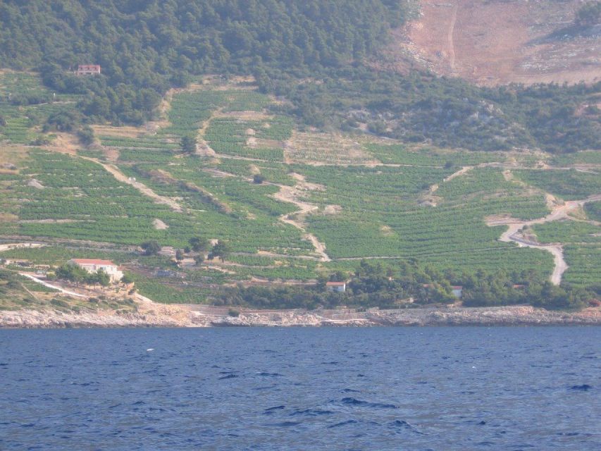 Korčula & Ston Full-Day Private Tour from Dubrovnik - Why this private day works from Dubrovnik