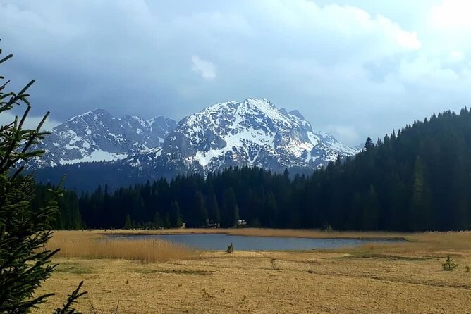Kotor Tour to Durmitor - Black Lake & Tara River Bridge - Tara Zip Line: a real choice, not a compulsory add-on