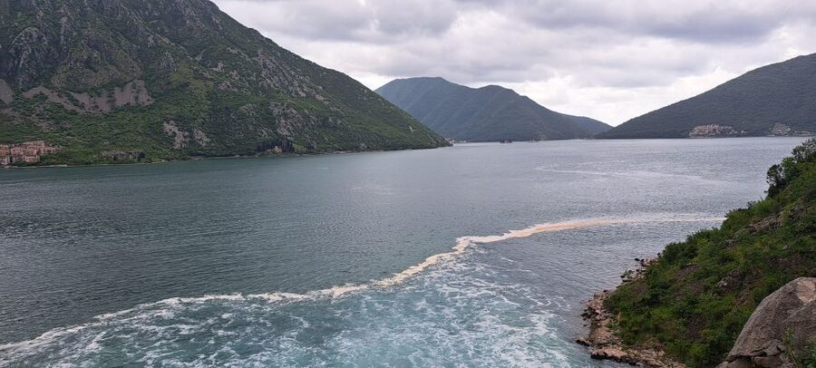 Montenegro: Perast & Kotor - Day Trip from Dubrovnik - How the timing affects your experience