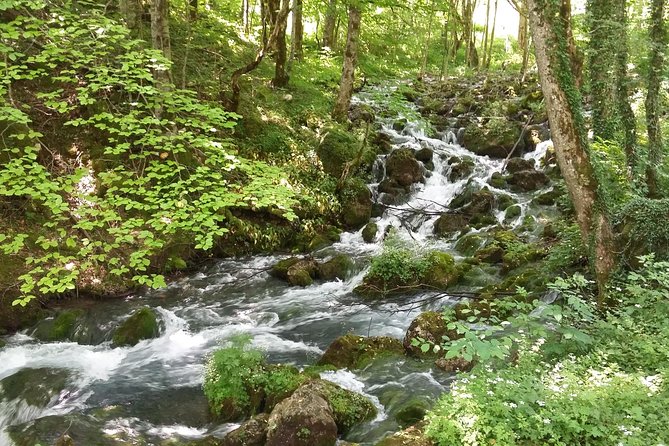 Moraca, Tara & Piva canyons with Durmitor national park - Crno Lake gives you a proper Durmitor stop