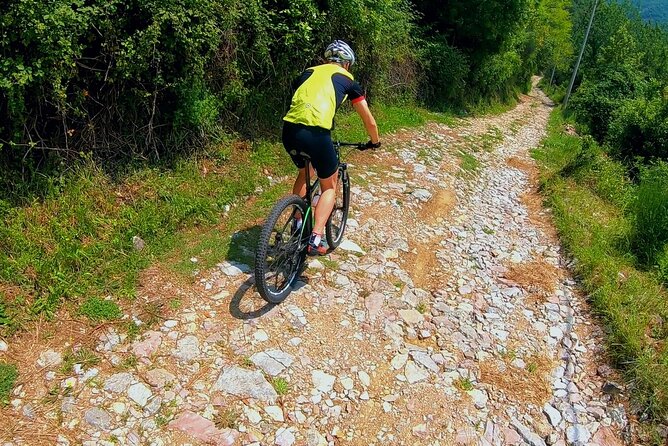 Mountain Biking on Vrmac peninsula - Panoramic view on Kotor bay - Starting at Fort Trojica Near the P22 Road