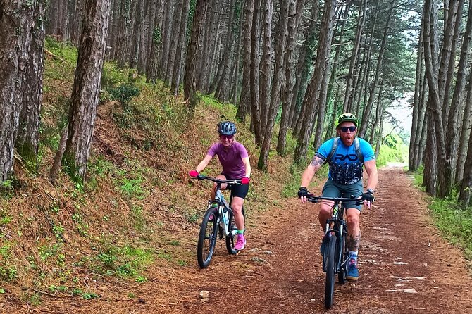 Mountain Biking on Vrmac peninsula - Panoramic view on Kotor bay - Riding From Trojica Into the Vrmac Hills