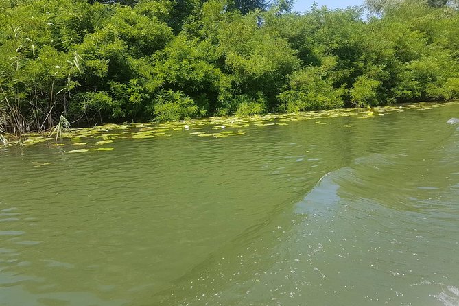 National park Skadar Lake (Private tour) - Who will enjoy this private tour most