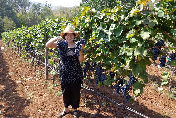 National parks and wine tasting (NP Lovcen, NP Skadar lake, Cetinje, Njegusi) - What the private format changes