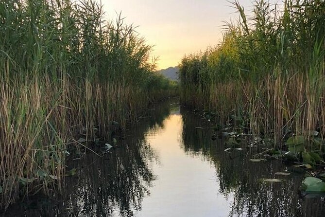 Noah's Ark Skadar Lake Journey - Is $23.83 good value?
