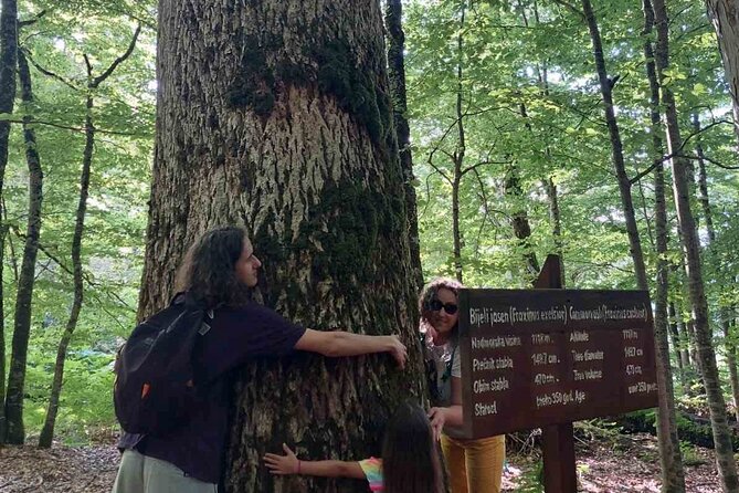 NORTH TOUR Np Biograd Gora-Lake-Moraca Canyon & Monastery-Kolasin - Kolašin: one hour in a small mountain town