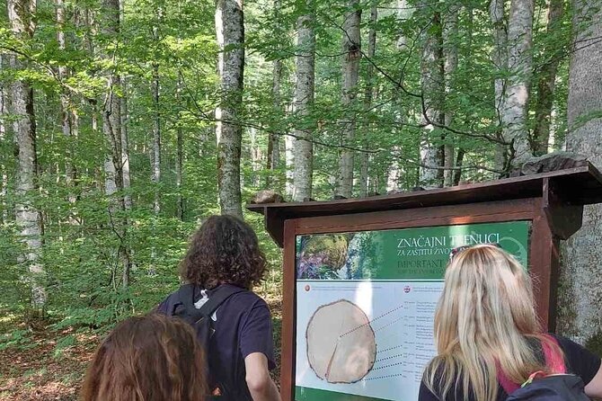 NORTH TOUR Np Biograd Gora-Lake-Moraca Canyon & Monastery-Kolasin - The road through Morača Canyon