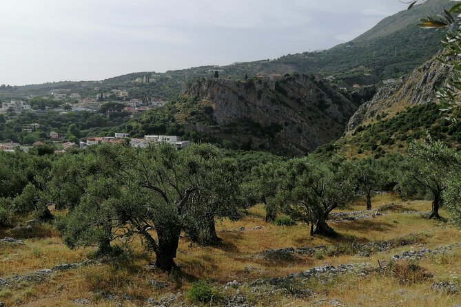Port of Bar tour - Explore Adriatic area - Bar and Ulcinj tour - What makes this Bar and Ulcinj tour worth considering