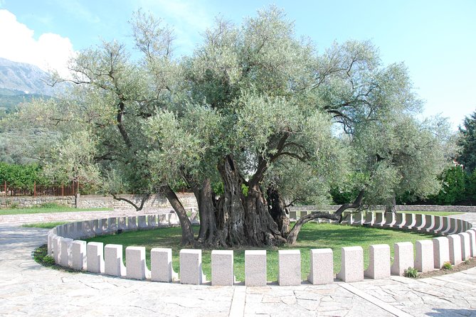 Port of Bar tour - Explore Adriatic area - Bar and Ulcinj tour - What a private sedan changes