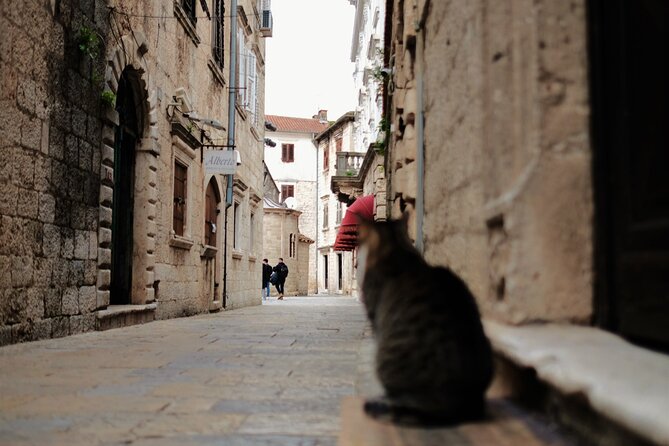 Port of Kotor - Kotor-Perast-Our lady of the rocks private tour - Pickup from Kotor and nearby cities