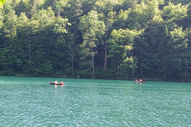 Private Full-Day Tour in Moraca and Tara Canyons, Durmitor & Biogradska Gora NP - Biogradska Gora: old trees and a quiet lake walk