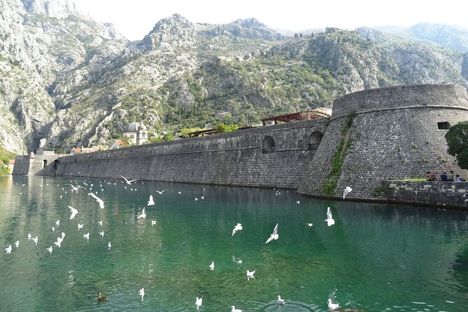 Private Full-Day Tour -Kotor tour, Saint Stefan & NP Skadar Lake - Who will get the most from this Montenegro tour?