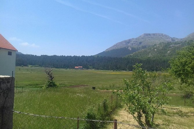 Private National Park Lovcen with food and wine tasting - Who will enjoy this most?