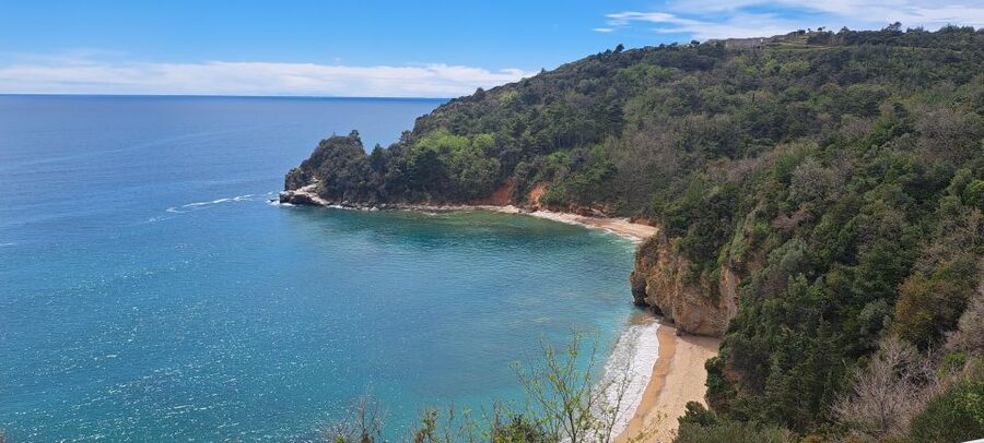 Private Tour: Montenegro Day Trip from Dubrovnik - The main drawbacks to consider