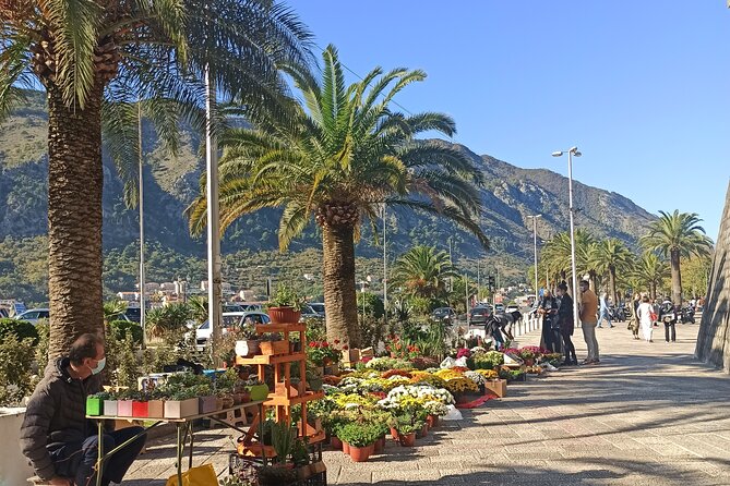 Private Walking tour with Wine and Food - Price, pace, and practical value