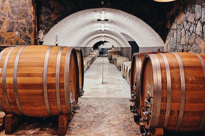 Private Wine Tasting Activity at Lipovac Winery - The underground cellar at 60 meters long