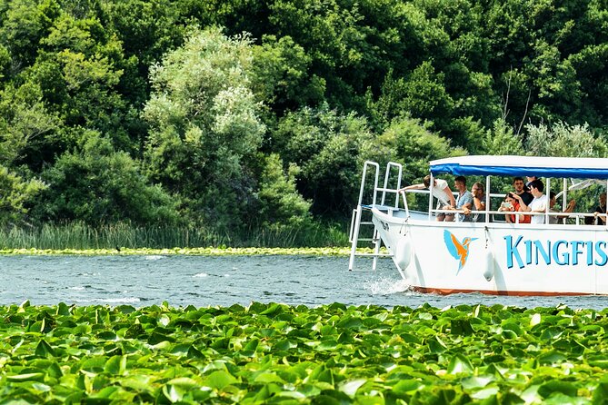 Skadar Lake & Crnojevića River: Swimming, Snacks & Wine - Swimming in the lake, with wine and priganice