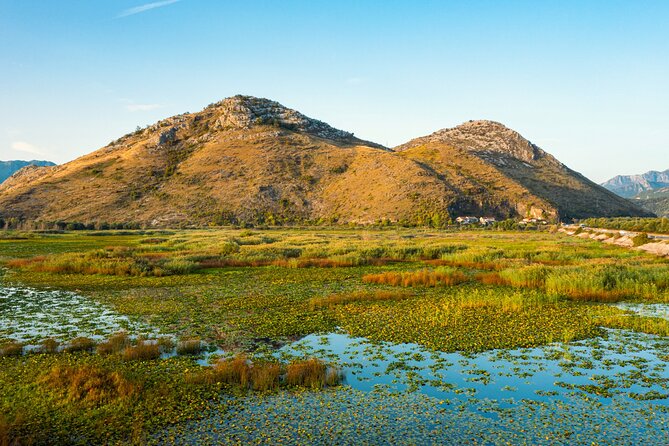 Skadar Lake National Park Guided Boat Tour with Wooden Boat - Wine, juice, and the ride back